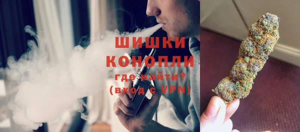 мдпв Михайлов