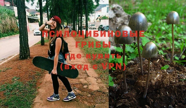 ALPHA-PVP Алексин