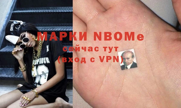 мдпв Михайлов