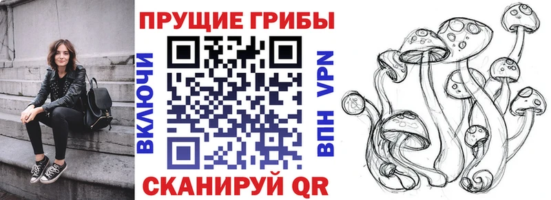 Псилоцибиновые грибы Psilocybe  МЕГА онион  Тайшет 